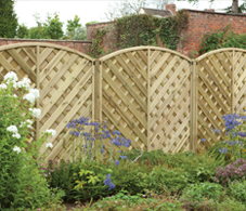 Fencing, Decking & Trellis