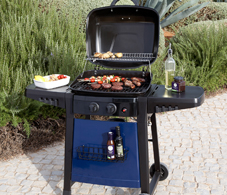 Gas BBQs