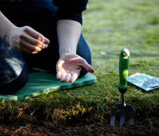 Propagation