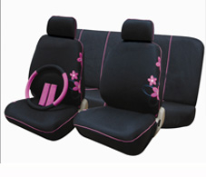 Car Accessories
