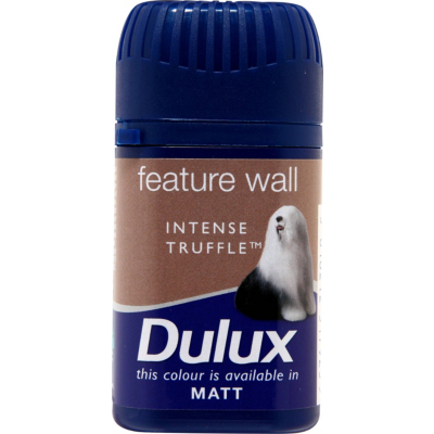 Dulux Feature Wall Colour Tester Intense