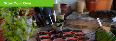 Grow Your Own