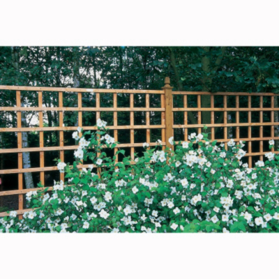 Forest Garden Trellis - Various Sizes