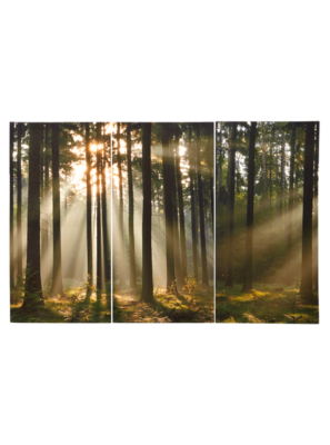 ASDA Woodland Canvas Wall Art 000289
