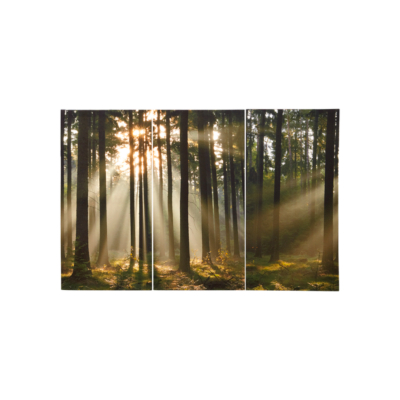 Woodland Canvas Wall Art 000289