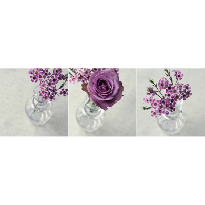 Plum Florals in Bottles Printed Canvas, Plum