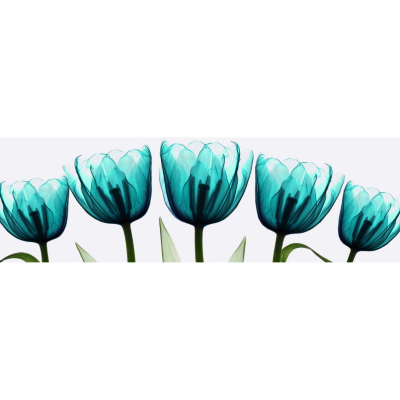 Teal X Ray Tulips Printed Canvas, Green 002017