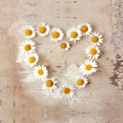 ASDA Daisy Heart Wall Art Canvas Print, Yellow 002306