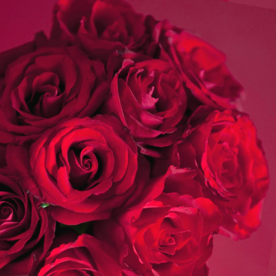 ASDA Red Rose Bouquet Wall Art Canvas Print, Red 002286