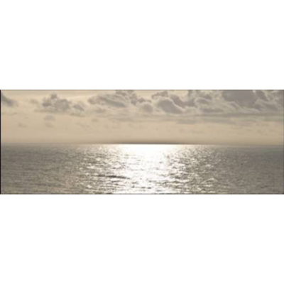 Silver Seascape Wall Art Canvas Print, Natural