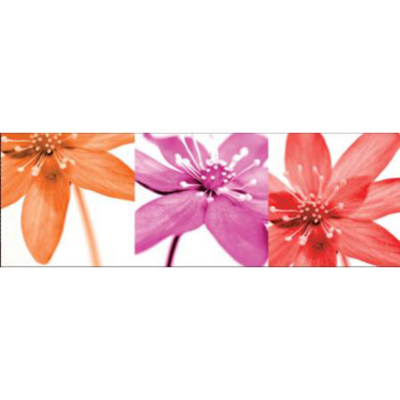 Bright Flowers Wall Art Canvas Prints - 3 Pack,
