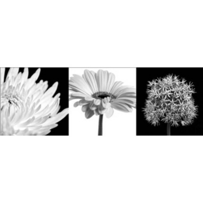 ASDA Black and White Flowers Wall Art Canvas Prints -
