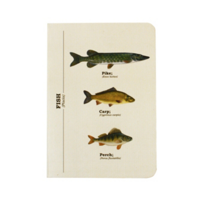 Fishes Notebook-A6, Multi