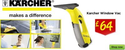 Karcher Window Vac