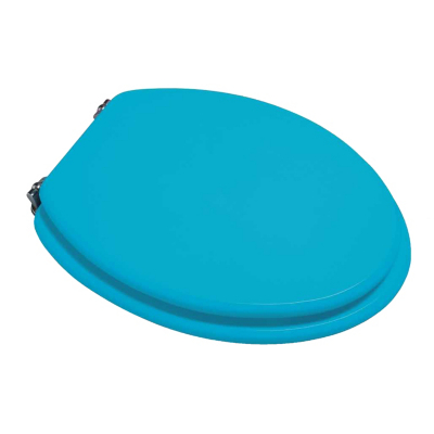 Croydex Turquoise Toilet Seat, Turquoise WL522267ASD