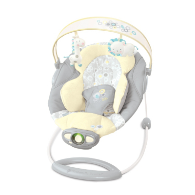 Bright Starts briarcliff Ingenuity Baby Bouncer,