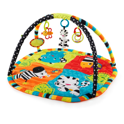 Bright Starts Gym, multi 9279