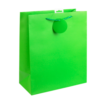 ASDA Large Green Portrait Gift Bag, Green 6960-0