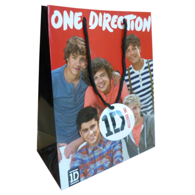 One Direction Large Gift Bag- One Direction, Multi DANILO
