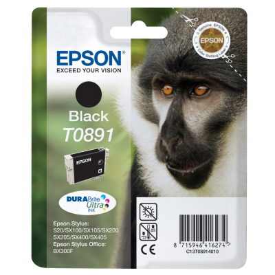 Epson EPSON T089 BLK