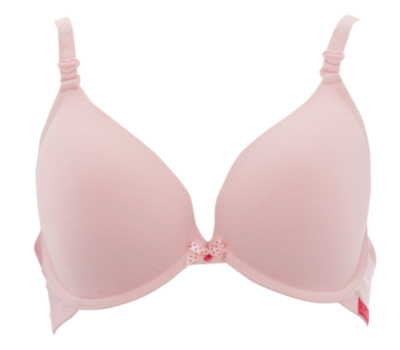  Plunge Bra
