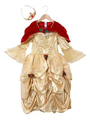 Belle Fancy Dress Costume