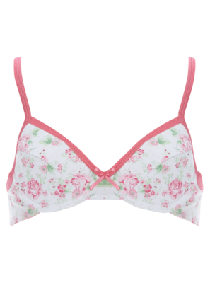 2 Pack Floral Print Bras