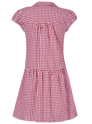Red Gingham School Dress alternative view