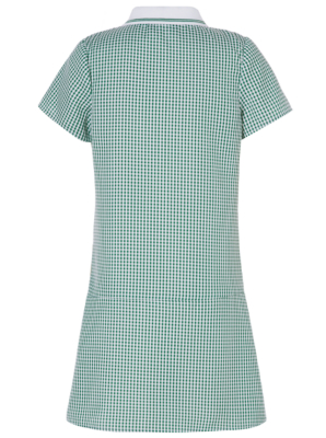 Gingham Pleated School Dress alternative view