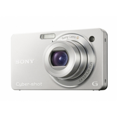 Sony DSC-WX1 10.2 MP Digital Camera - Silver