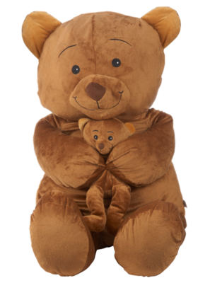 ASDA Bear and Cub Soft Toy PT56314CF-57595