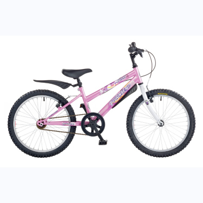 Townsend Spirit Girls 20ins Wheels Bike, Lilac