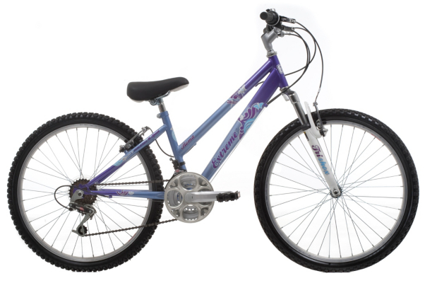 Roma Girls Mountain Bike - 24 inch Wheels, 13