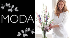 MODA