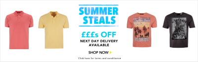 Summer Steals