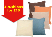 3 cushions for £10