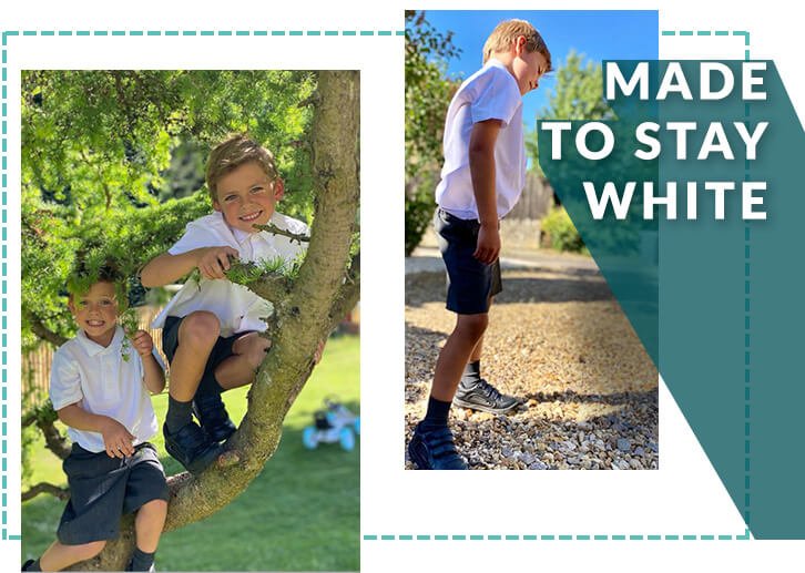 Two young boys climbing a tree wearing white polos, grey shorts, grey socks and black school shoes and a boy wearing a white short sleeved shirt, grey shorts, grey socks and black school shoes