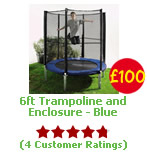 6ft Trampoline and Enclosure