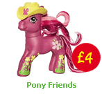Pony Friends