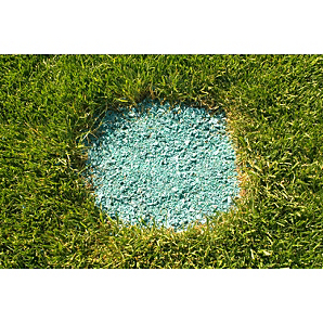Patch Perfect For Lawns