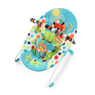 bright starts bouncer baby bouncer