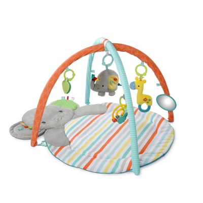 bright starts zippy zoo activity gym