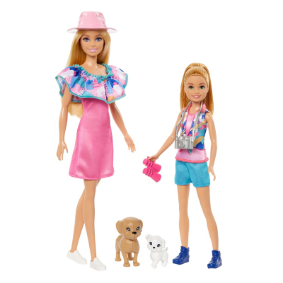 Barbie Barbie and Stacie Doll Pack and Accessories Toys