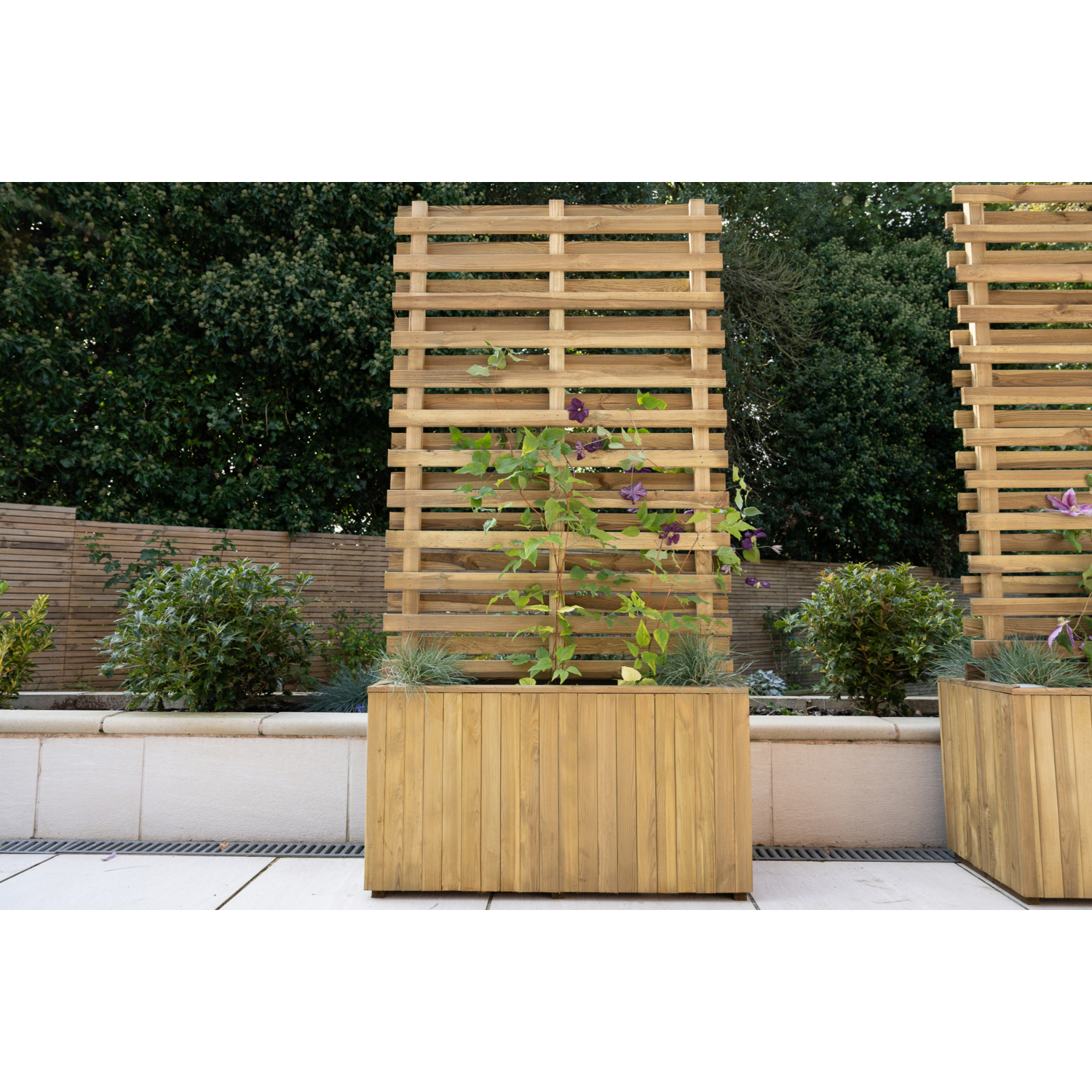 Forest Garden Timber Living Screen Planter