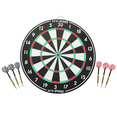 pro dartboard