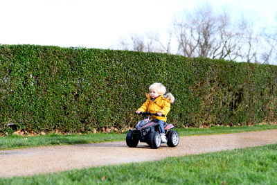 scuttlebug xl asda