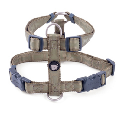 Petface Green Bones Dog Harness Home at ASDA