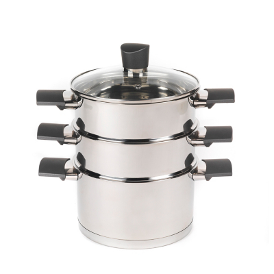 George Russell Hobbs Excellence Collection Steamer