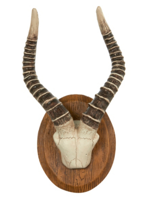 Home Antelope Horns Wall Art Home & Garden at ASDA