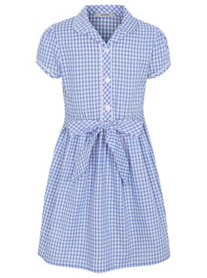 Light Blue Gingham School Dress | School | George